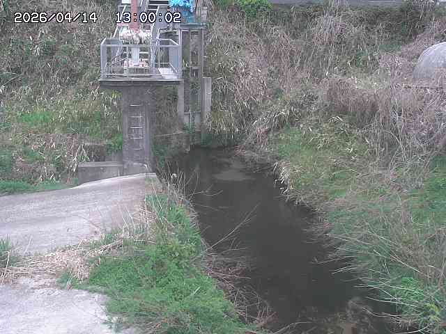 玉川３（上流）2026/04/14 17:00:00