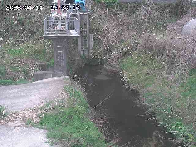 玉川３（上流）2026/04/14 17:00:00