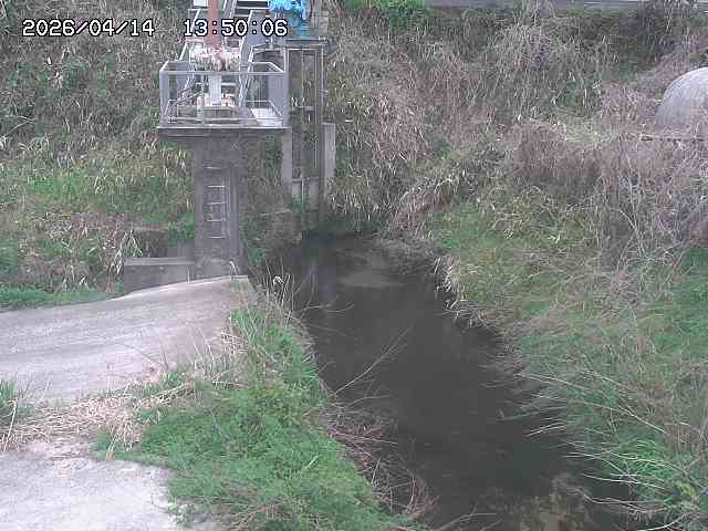 玉川３（上流）2026/04/14 17:00:00