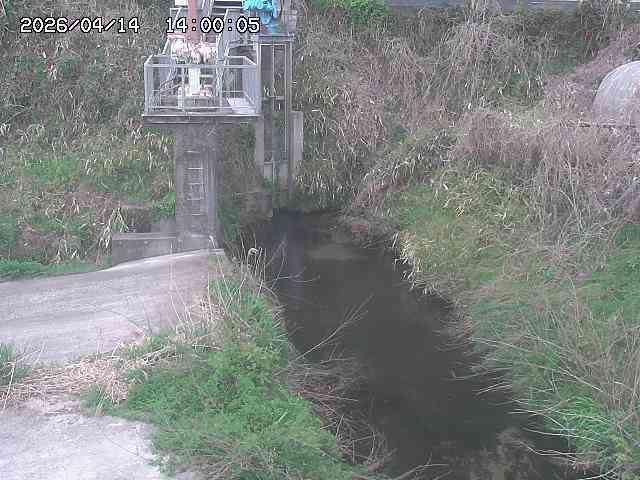 玉川３（上流）2026/04/14 17:00:00