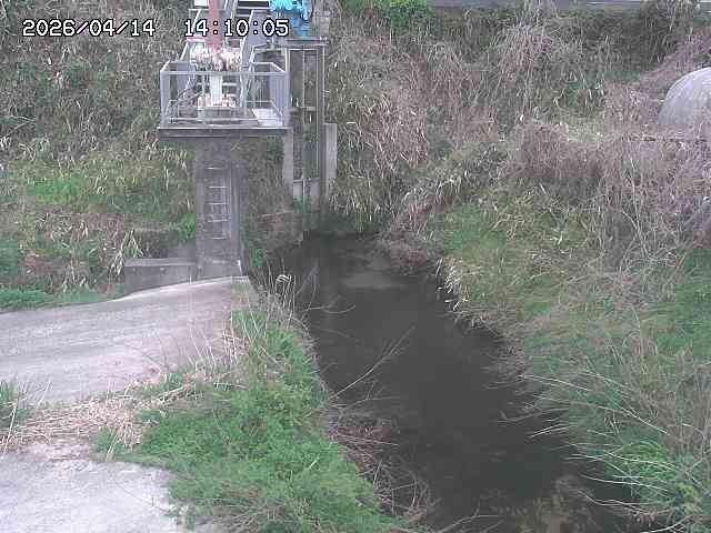 玉川３（上流）2026/04/14 17:00:00