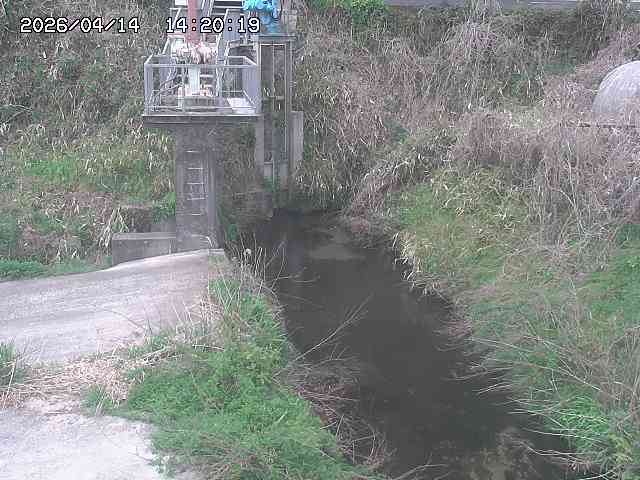 玉川３（上流）2026/04/14 17:00:00