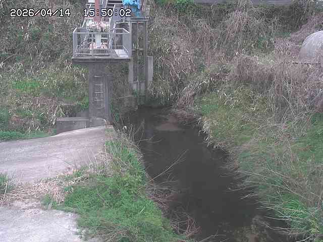 玉川３（上流）2026/04/14 17:00:00