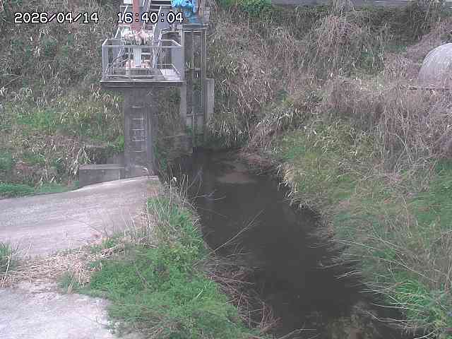 玉川３（上流）2026/04/14 17:00:00