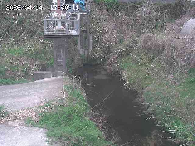 玉川３（上流）2026/04/14 17:00:00