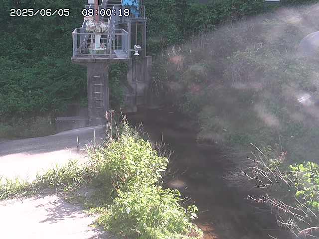 玉川３（上流）2025/06/06 1:30:00