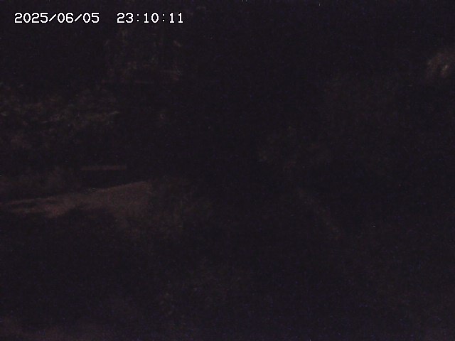 玉川３（上流）2025/06/06 1:30:00