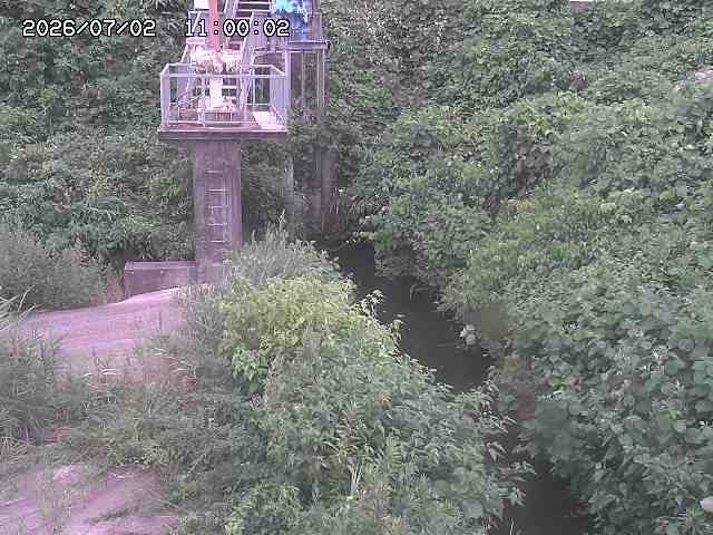 玉川３（上流）2026/07/03 8:30:00