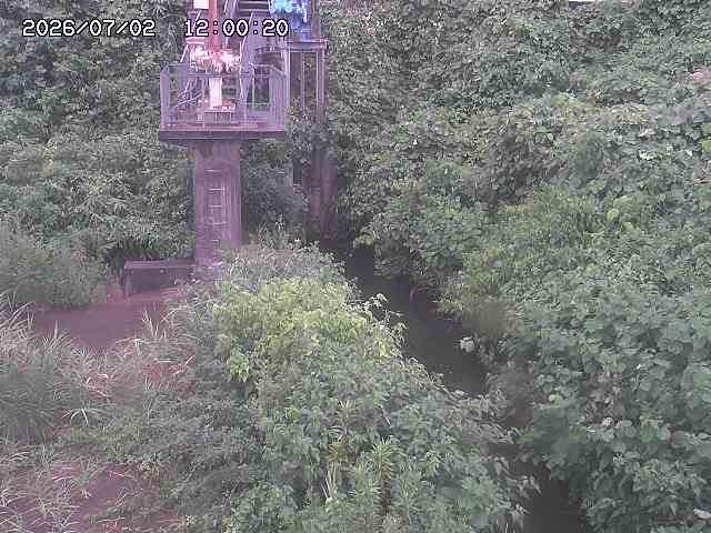 玉川３（上流）2026/07/03 8:30:00