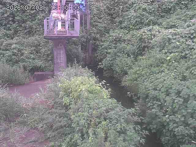 玉川３（上流）2026/07/03 8:30:00