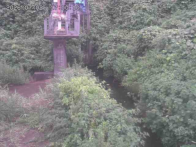 玉川３（上流）2026/07/03 8:30:00