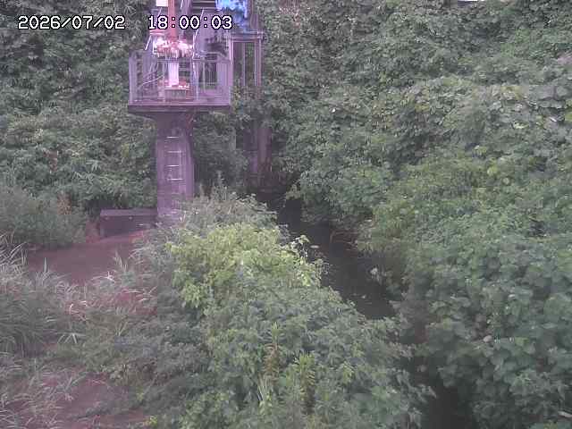 玉川３（上流）2026/07/03 8:30:00