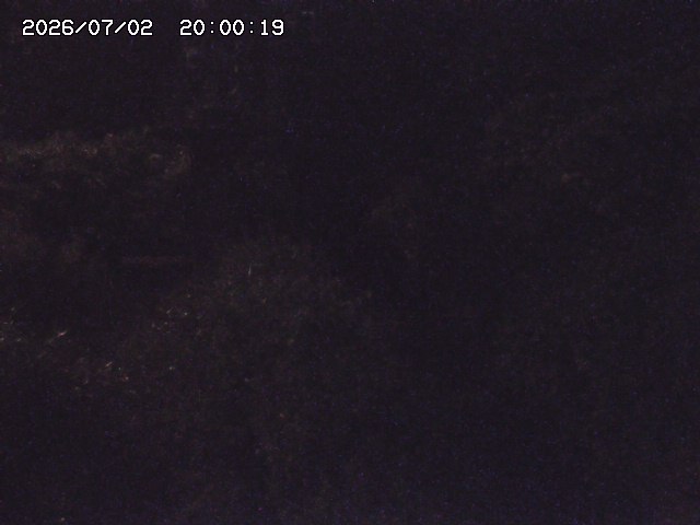 玉川３（上流）2026/07/03 8:30:00