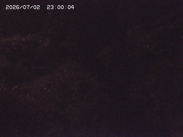 玉川３（上流）2026/07/03 8:30:00