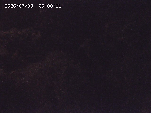 玉川３（上流）2026/07/03 8:30:00