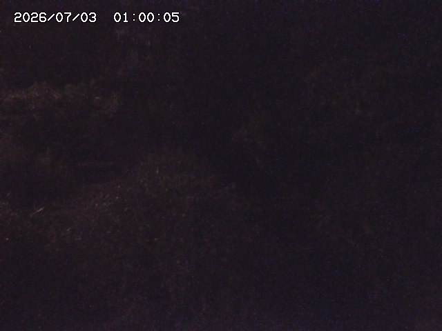 玉川３（上流）2026/07/03 8:30:00
