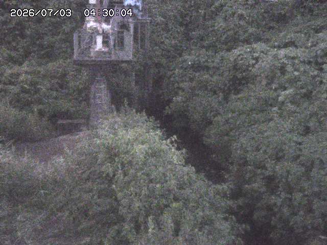 玉川３（上流）2026/07/03 8:30:00