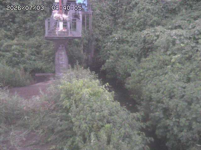 玉川３（上流）2026/07/03 8:30:00