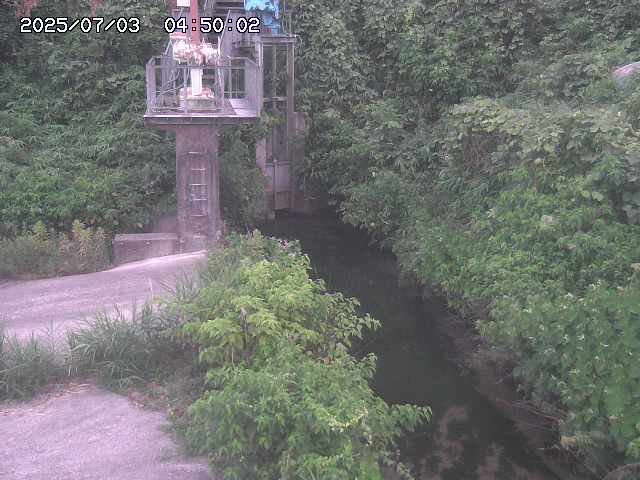 玉川３（上流）2026/07/03 8:30:00