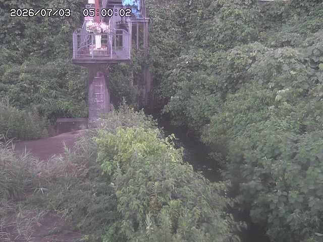 玉川３（上流）2026/07/03 8:30:00