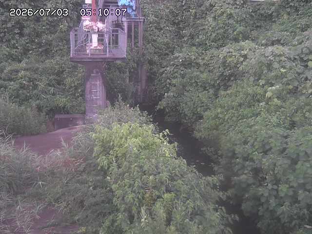 玉川３（上流）2026/07/03 8:30:00