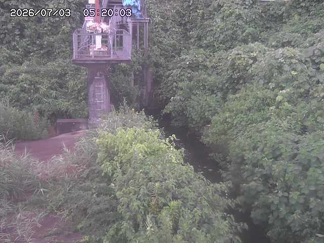 玉川３（上流）2026/07/03 8:30:00