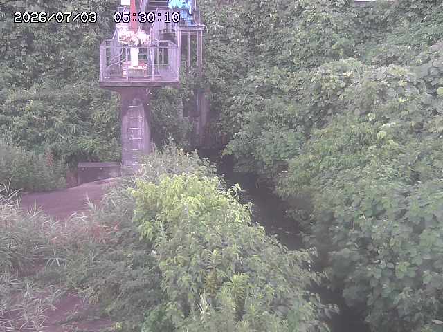 玉川３（上流）2026/07/03 8:30:00