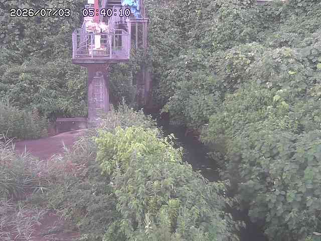 玉川３（上流）2026/07/03 8:30:00