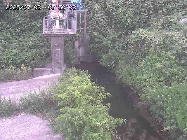玉川３（上流）2026/07/03 8:30:00