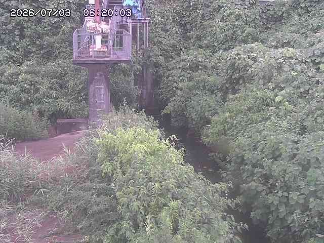 玉川３（上流）2026/07/03 8:30:00