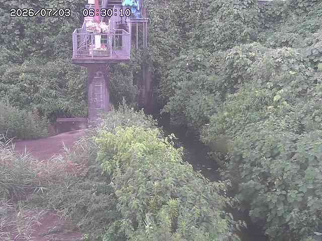 玉川３（上流）2026/07/03 8:30:00