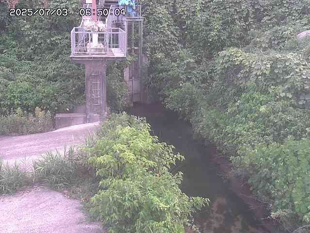 玉川３（上流）2026/07/03 8:30:00