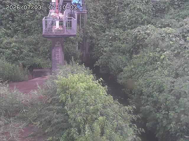 玉川３（上流）2026/07/03 8:30:00