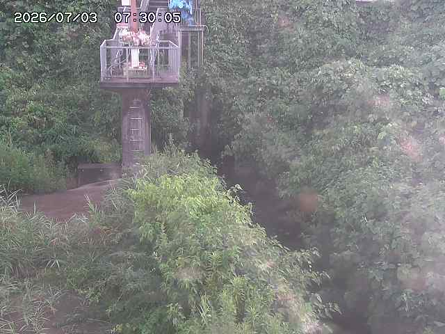 玉川３（上流）2026/07/03 8:30:00
