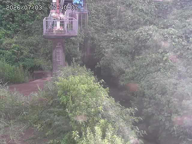 玉川３（上流）2026/07/03 8:30:00