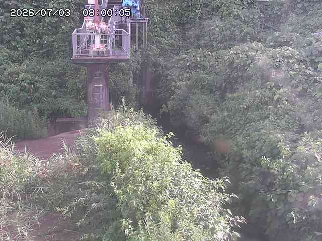 玉川３（上流）2026/07/03 8:30:00