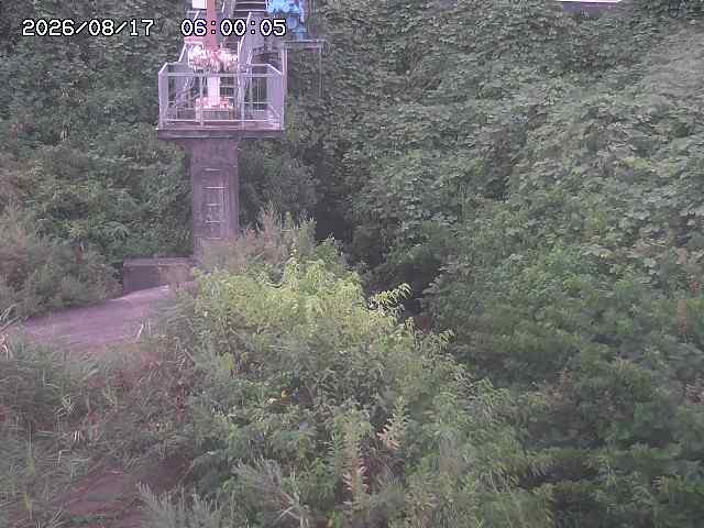 玉川３（上流）2026/08/17 20:40:00