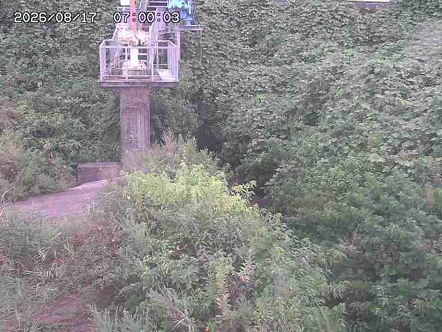 玉川３（上流）2026/08/17 20:40:00