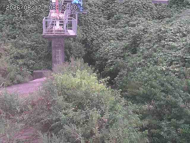 玉川３（上流）2026/08/17 20:40:00