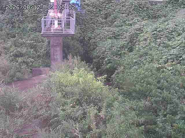 玉川３（上流）2026/08/17 20:40:00