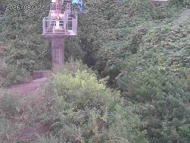 玉川３（上流）2026/08/17 20:40:00