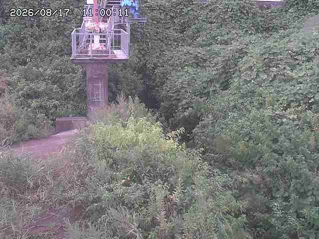 玉川３（上流）2026/08/17 20:40:00