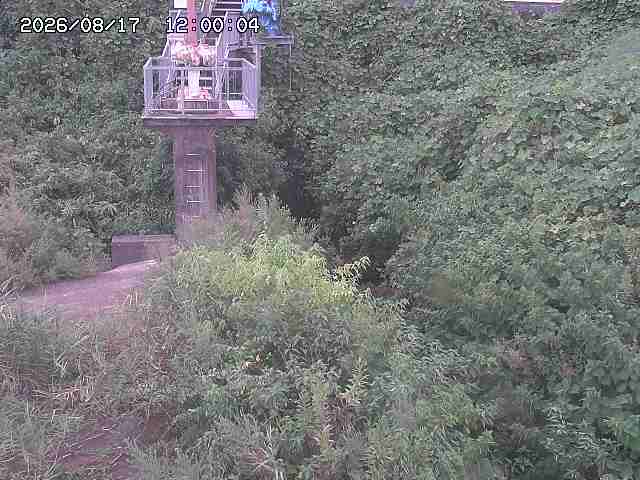 玉川３（上流）2026/08/17 20:40:00