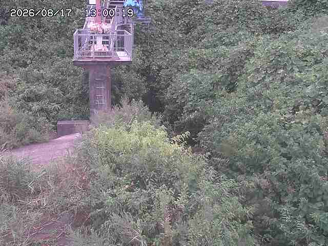玉川３（上流）2026/08/17 20:40:00