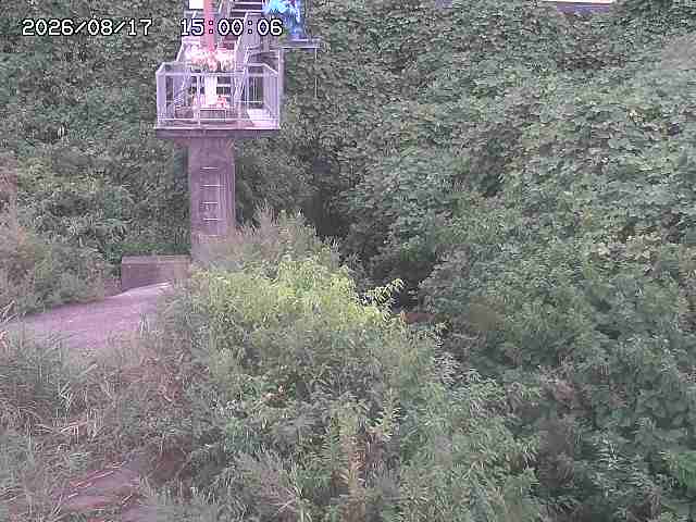 玉川３（上流）2026/08/17 20:40:00