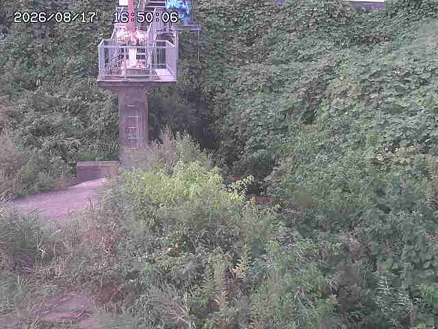 玉川３（上流）2026/08/17 20:40:00
