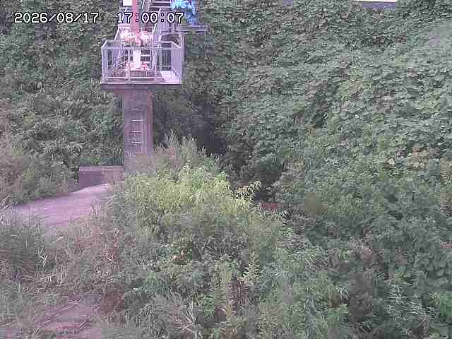 玉川３（上流）2026/08/17 20:40:00