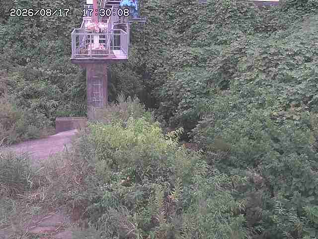 玉川３（上流）2026/08/17 20:40:00