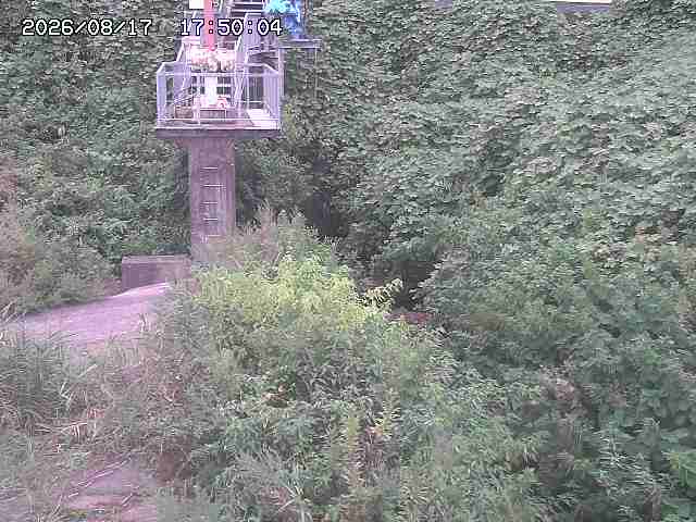 玉川３（上流）2026/08/17 20:40:00