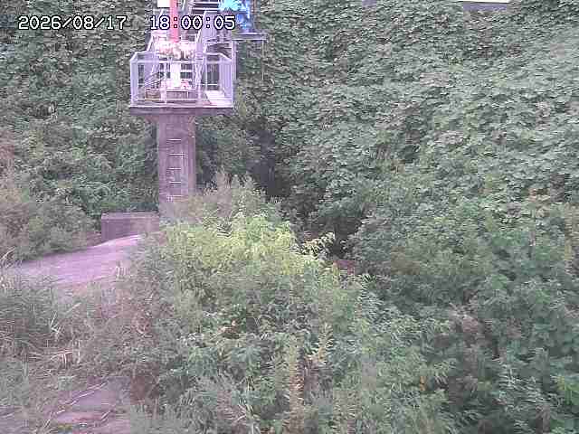 玉川３（上流）2026/08/17 20:40:00